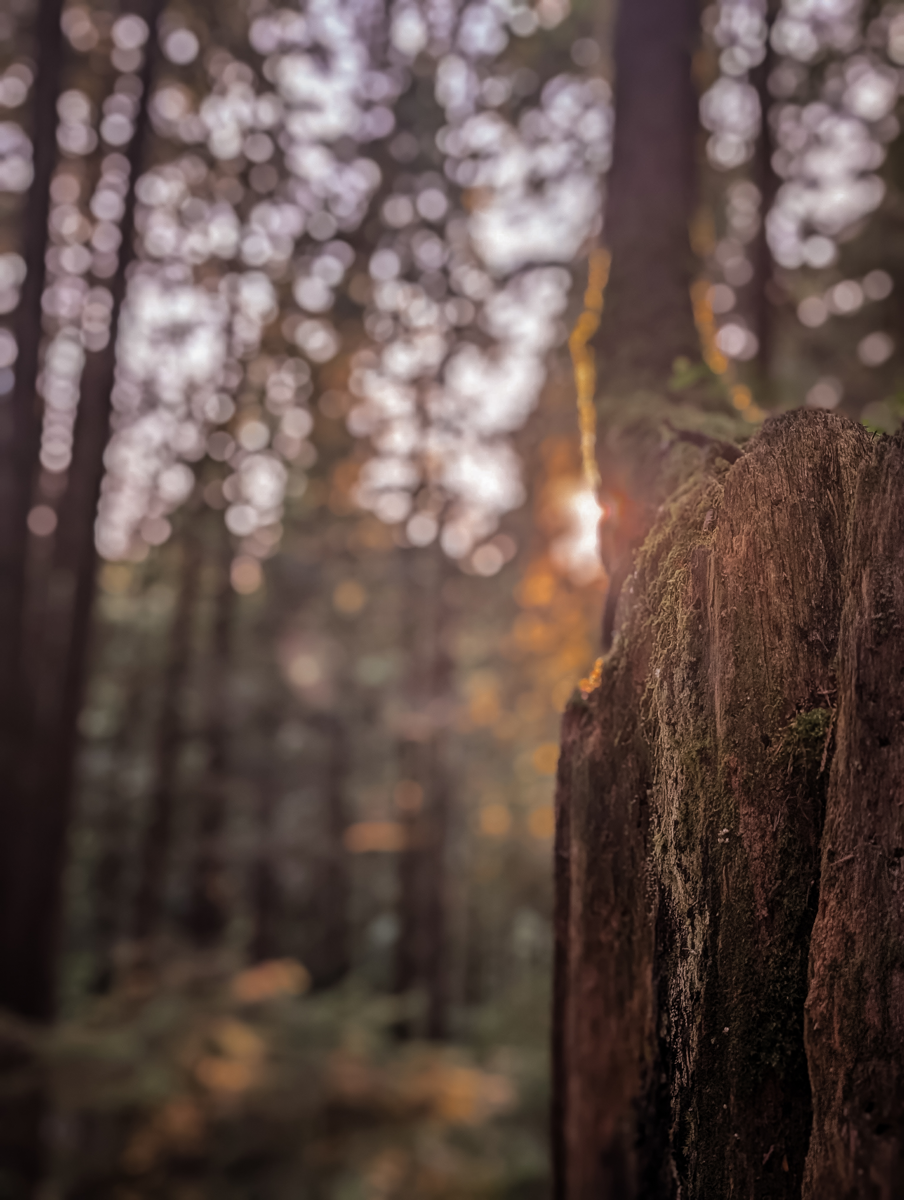 A Bucket-List Worthy Road Trip in Canada